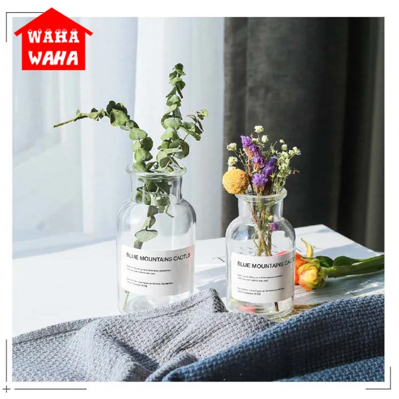 

Nordic Transparent Glass Vases Terrarium Containers Hydroponics Plant Flower vase Flower Bouquet Living Room Table Decorative