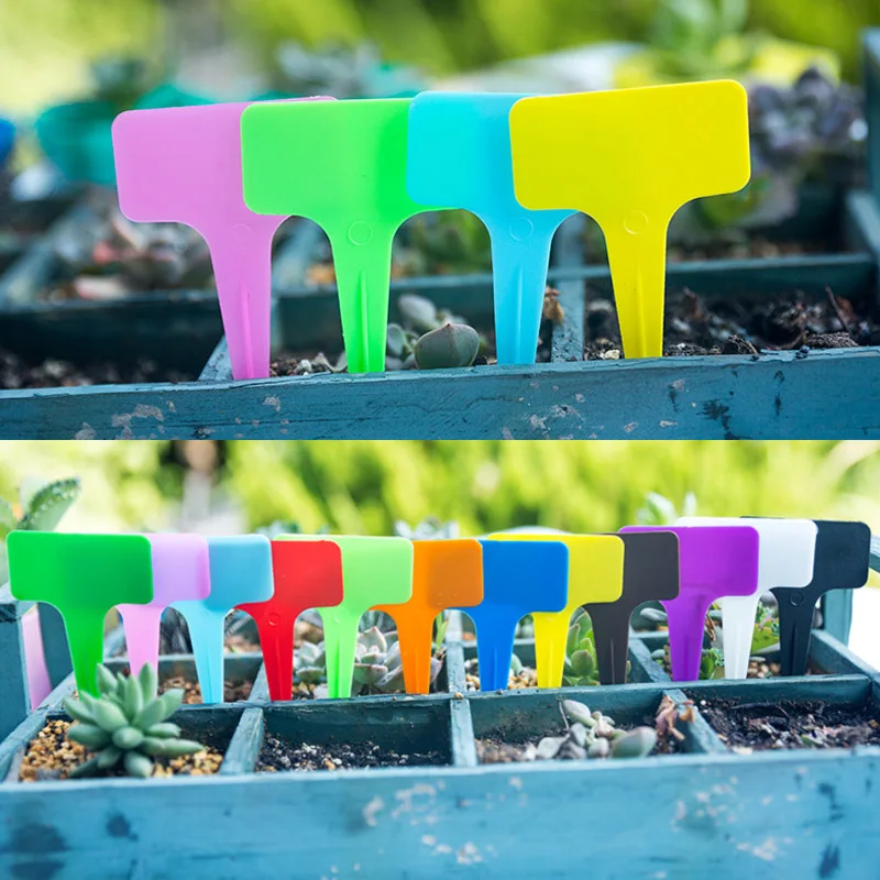 50/100 pcs Plant Tags Garden Nursery Label hanging tree Markers seedling plant fruit trees signs prompt card classification tool