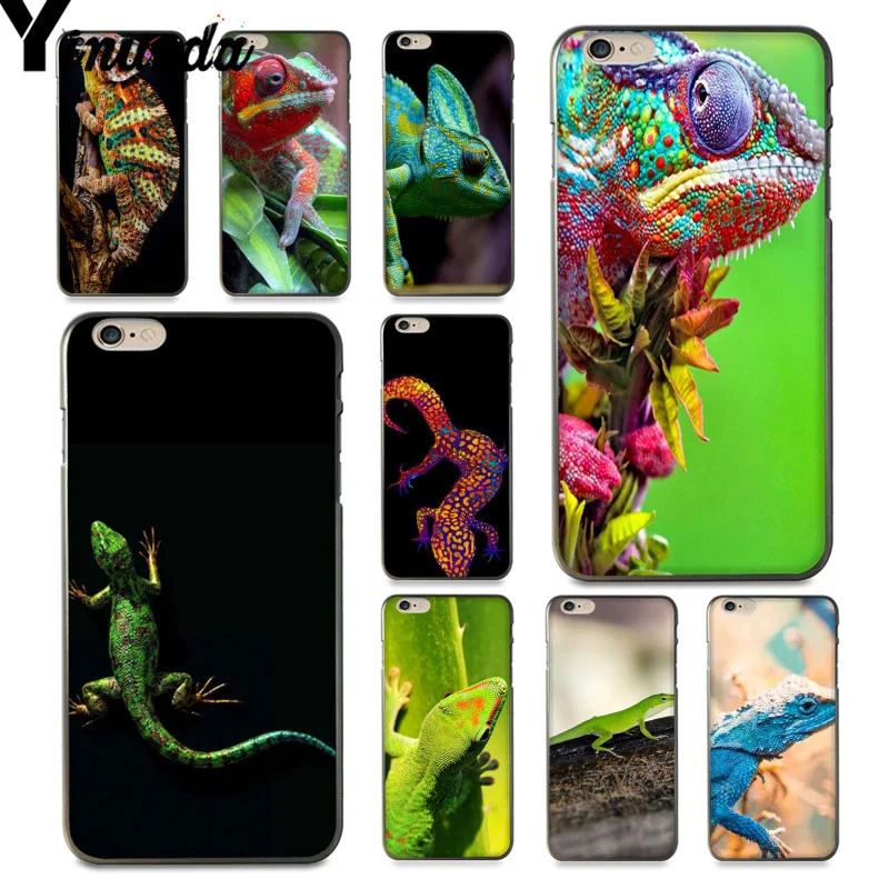 coque iphone 7 cameleon