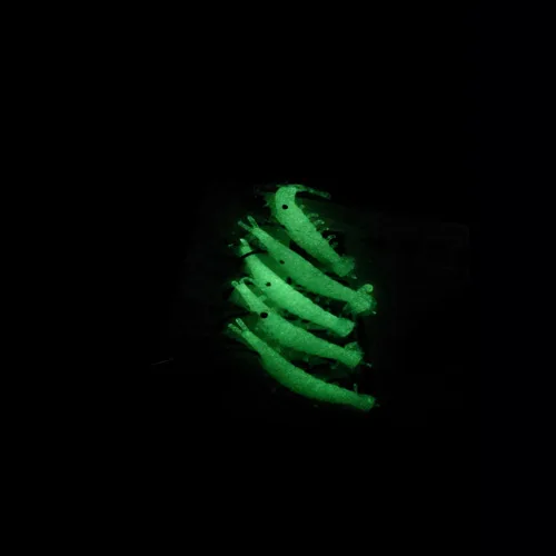 20160919_161424_022