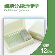 12 шт клеточный дивизион Биологический микроскоп различные образцы отборные готовые слайды луковые пыльники майозный микроломтик