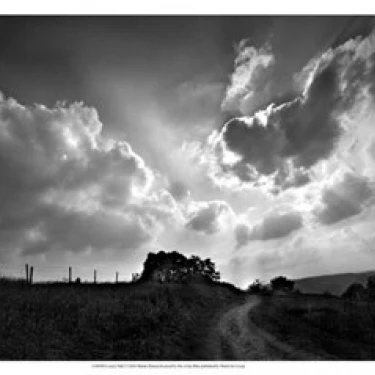 Lonely Path I Poster Print by Martin Henson (19 x 13)