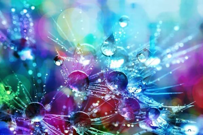 GLymg Bright Dew On Spider Web Rhinestones Diy Diamond Craft Embroidery 5d Art Wall Deco | Дом и сад