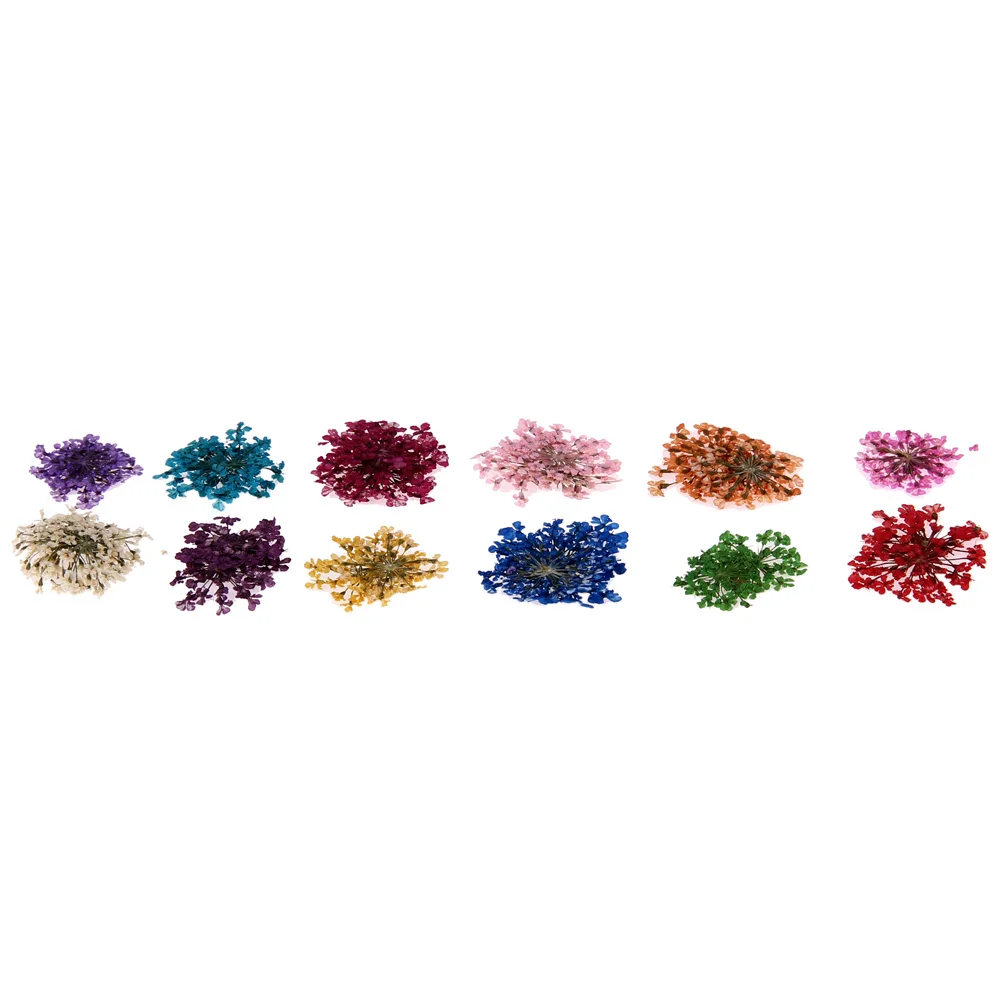 美甲蕾丝干花 美甲立体干花 美甲真花 12色美甲干花 美甲花 举报