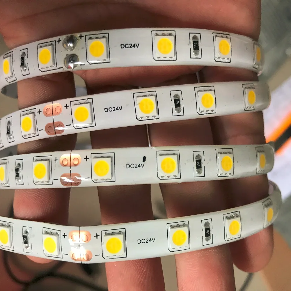 100 м Гибкие светодиодные полосы света 24 В 5050 SMD 300 холодный белый/теплый белый/синий/ красный/зеленый/RGB Водонепроницаемый IP65