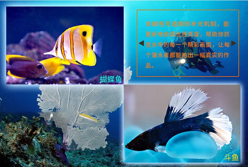 D36V-II详情页515_04