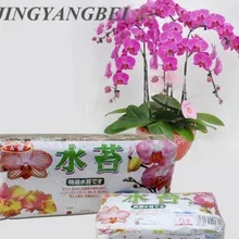 Натуральный 12л мох Садовые принадлежности увлажняющее питание органическое удобрение для фаленопсиса орхидеи мусго сфагнум цветочный горшок деко