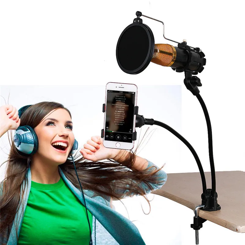 Microphone Phone Gooseneck Mount Holder Filter for