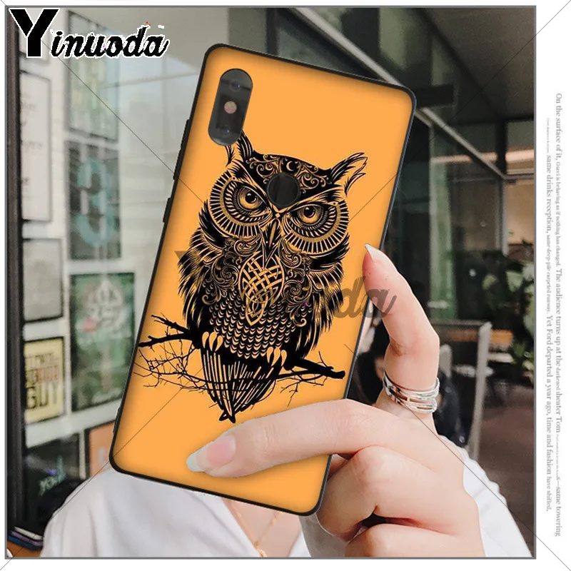 Animal Night Owl 