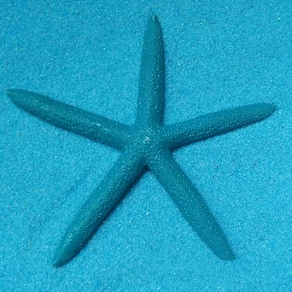 1 шт. 13 см Смола пятиконечная Морская звезда средиземноморская Морская звезда моделирование Морская звезда шестиугольная Морская звезда рыболовное украшение-сетка - Цвет: Blue