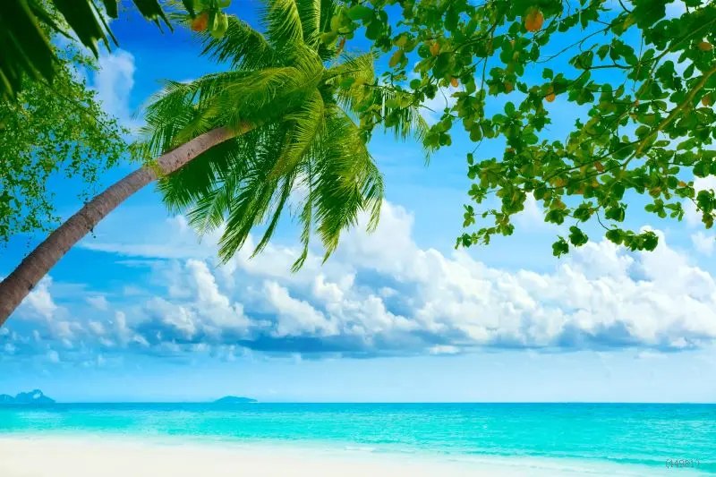 Download 5500 Background Keren Laut HD Gratis