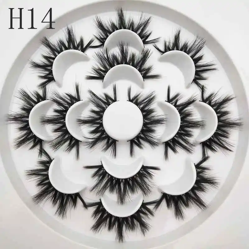 H14.1_