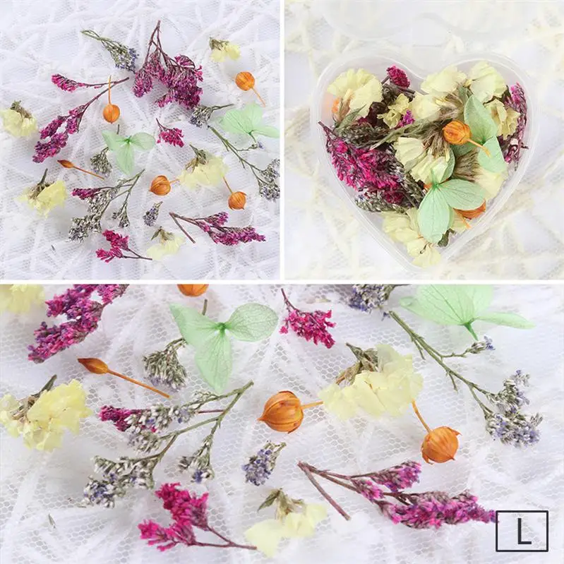 12 сеток/коробка 3D Стразы для ногтей натуральные красочные сушеные цветы украшения для УФ-гель для дизайна ногтей лак украшения аксессуары - Цвет: Mixed Flowers-L