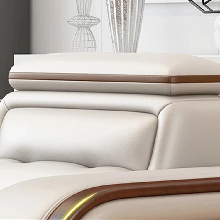 leather sofa (5)