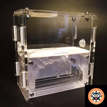 

Empire S Ants Nest Double Layers Insect Cages Kids Scientific Class Device Toy Mini Farm For Pet Ants Home Mania House 3 colors