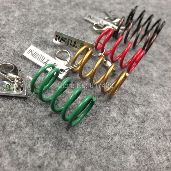 MV34C073 TEIN Spring keychain (7)