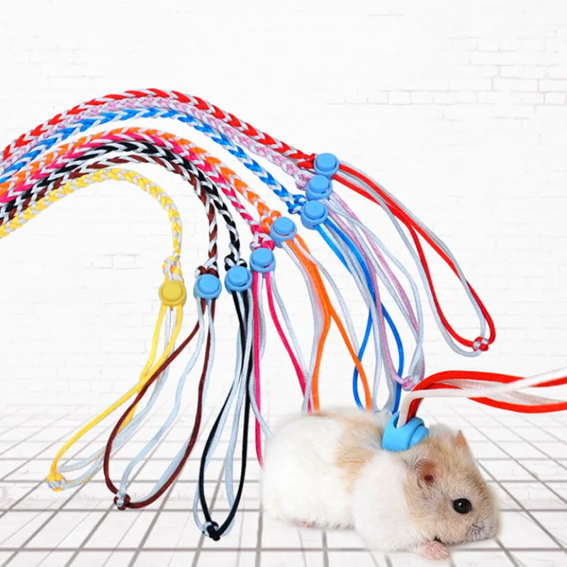 Guinea Pig Harness ASOCEA 4 Pcs Hamster Harness And Leash Adjustable Pet Nylon Lead Walking Rope Suitable For Guinea Pig Hillas Ferret Rat Mouse Squirrel Gerbil Small Animal Rabbit Leash