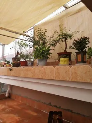 Бренд Tewango 95% теней скорость 180 г/кв. М d кольцо 50 см пространство HDPE Сетка открытый