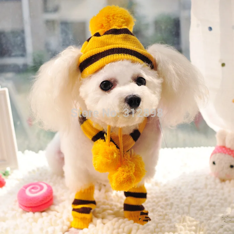accessories for puppies winter pet puppy accessories for dogs pink yellow rainbow striped hats scarf socks accessories for puppies winter pet puppy accessories for dogs pink yellow rainbow striped hats scarf socks
