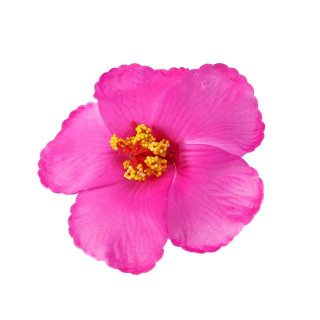 Buy BESTOYARD Hibiscus Flowers Hawaiian Artificial