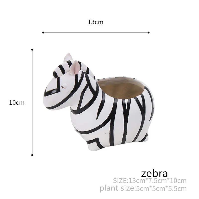 zebra_1_