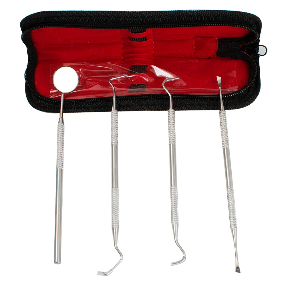 

Professional Dentist Tool Kit Stainless Steel Tarter Remover Dental Pick Hygiene Set Personal