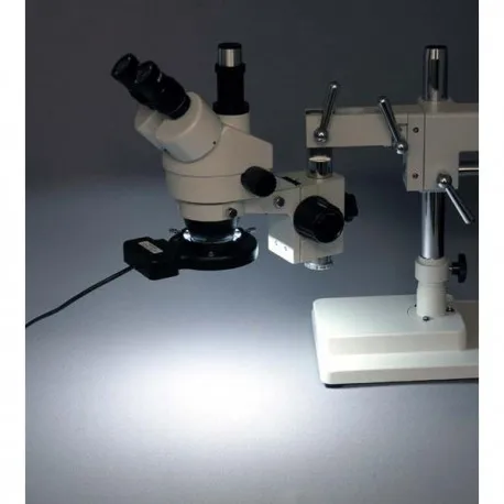 FRL12-A-microscope-5