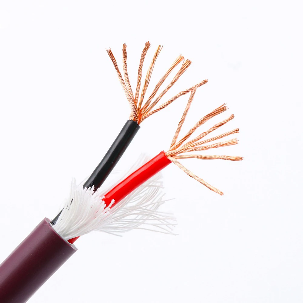 MPS C-400 99.9997% OFC Ŀ ̾  ̺ HIFI  CD DVD Ŀ AC  ̺  4mm ^ 2*2/11AWG * 2