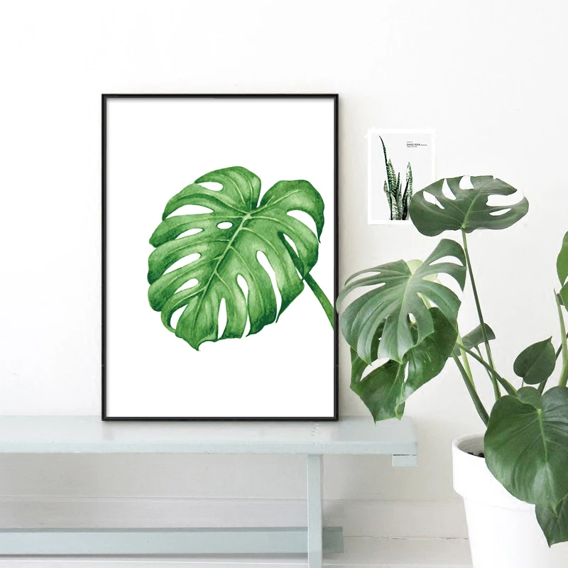 Nordic Gaya Kanvas Cetak Lukisan  Poster Dari Daun  Monstera 