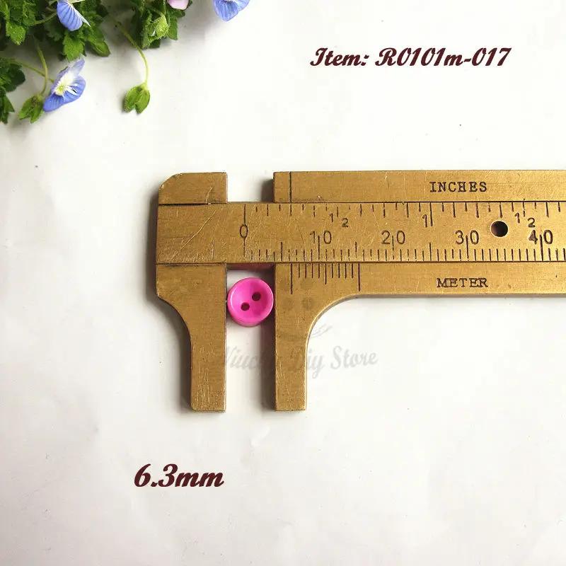 R0101m-017d