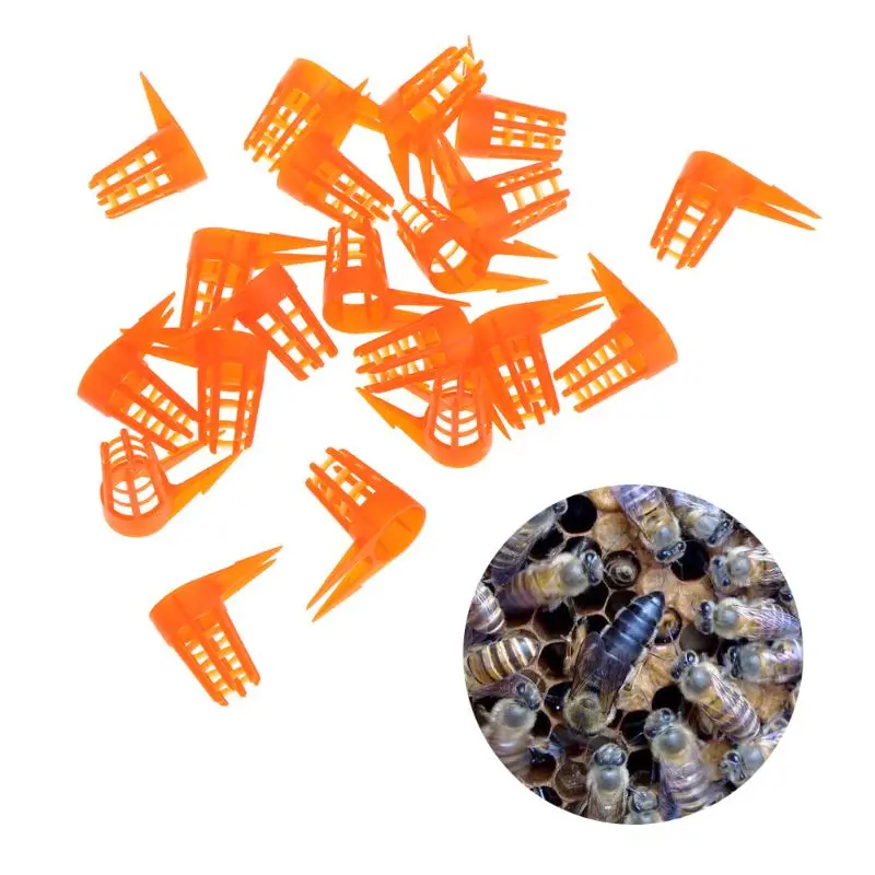 

20 Pcs/Set Bee Queen Cell Cover Beekeeping Tools Beekeeper Equipment Plastic Cage Protective Supplies Professional