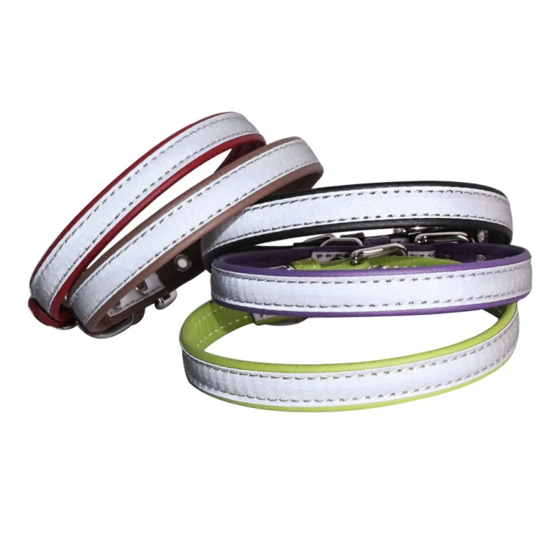 Fashion Pet Dog Collar Walking The Dog Outdoors Security Necklace For