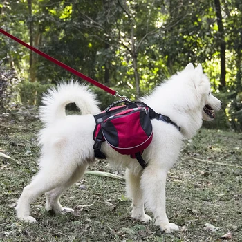

Pet Dogs Harnesses Leash Chest Back Set Outdoor Running Jogging Walk Leashes Pets Chain Large Training Dog Puppy Traction Ropes