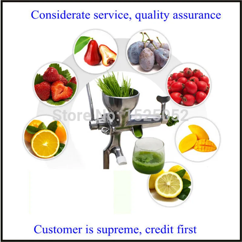 stainless manual juice extractor wheatgrass juicer for salewheatgrass