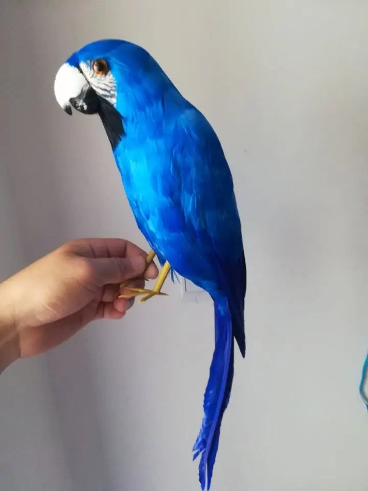 new simulation blue parrot model toy foam&feathers bird doll gift about 32cm 