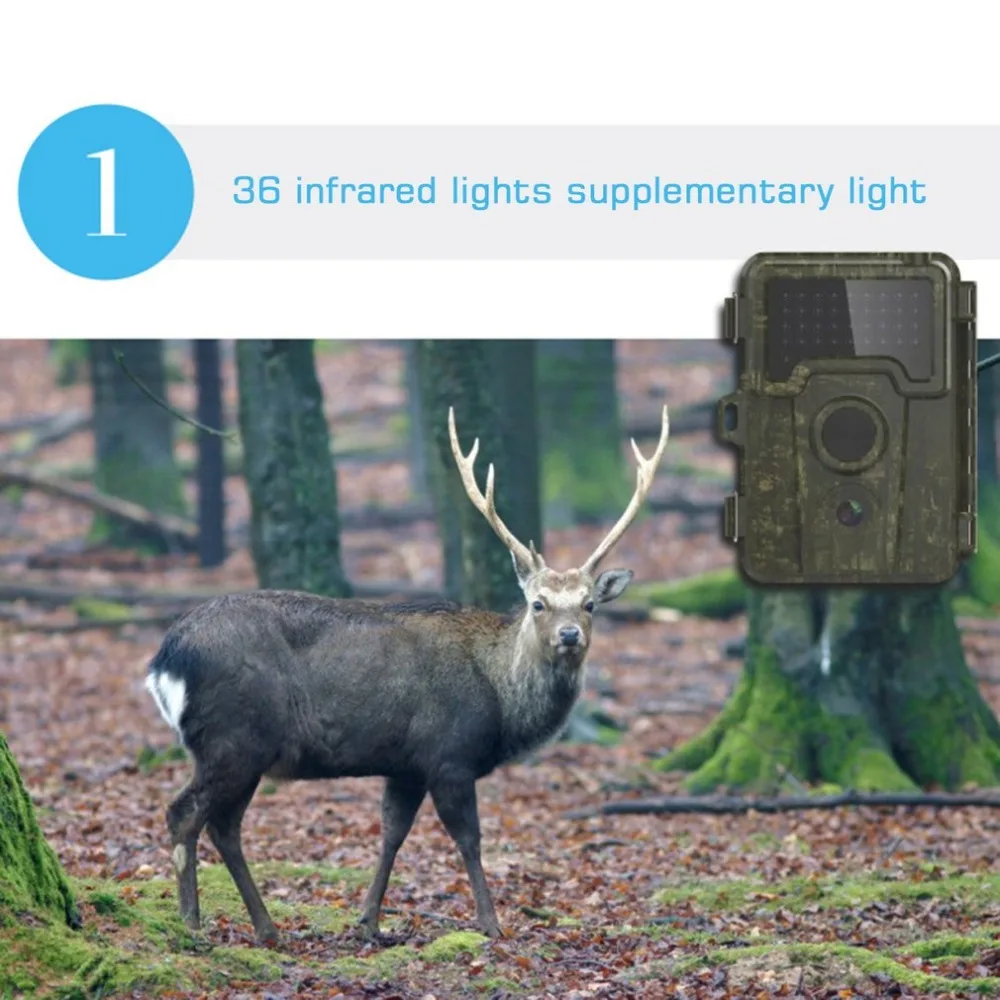 

DL01 Outdoor Hunting Camera Infrared Night Vision 2.4" Display Video Camera Waterproof 4MP 720P HD Wildlife Scouting Device