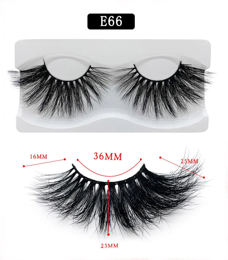 E66