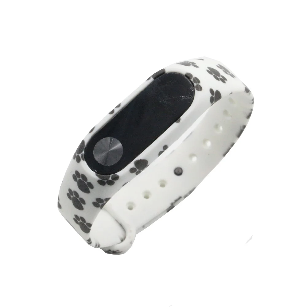 band2  (1)