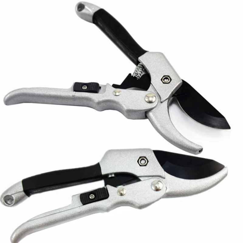 9074849269_2071888846