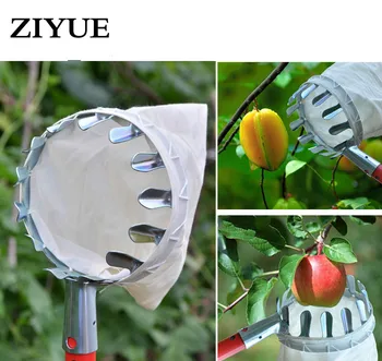 

Free Shipping Picking Bayberry Gardening Tools High Altitude Picking Garden Picker Hand Picking Fruit