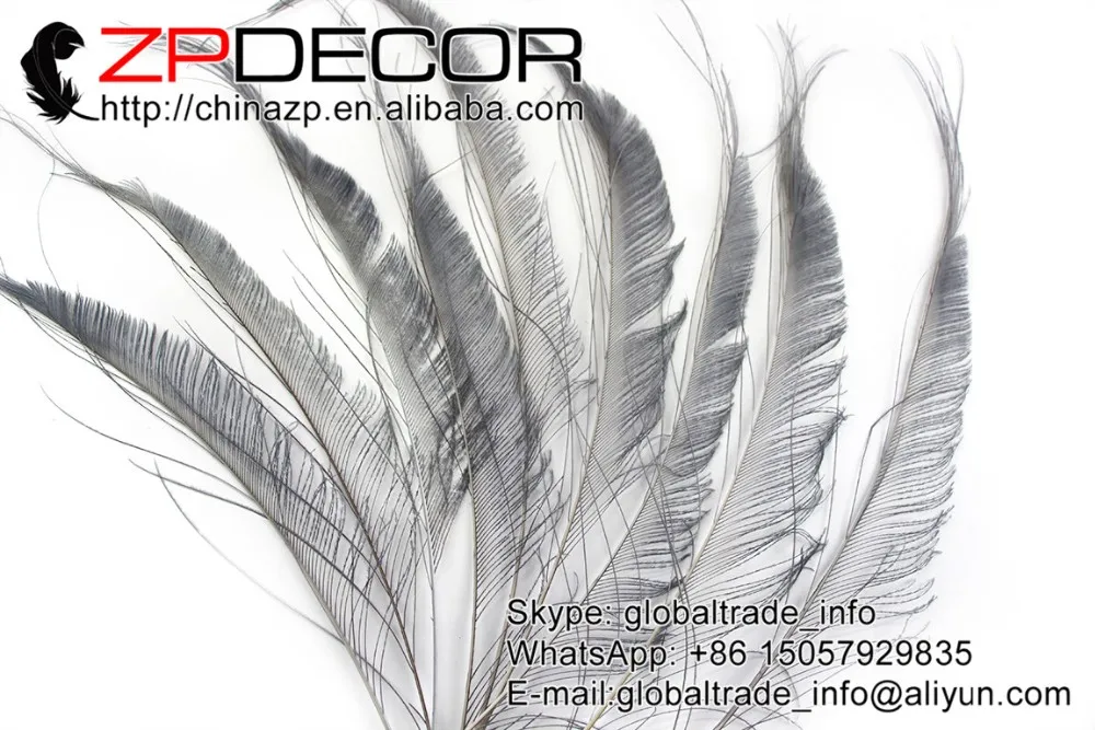 silver grey Peacock Swords Feather (1)