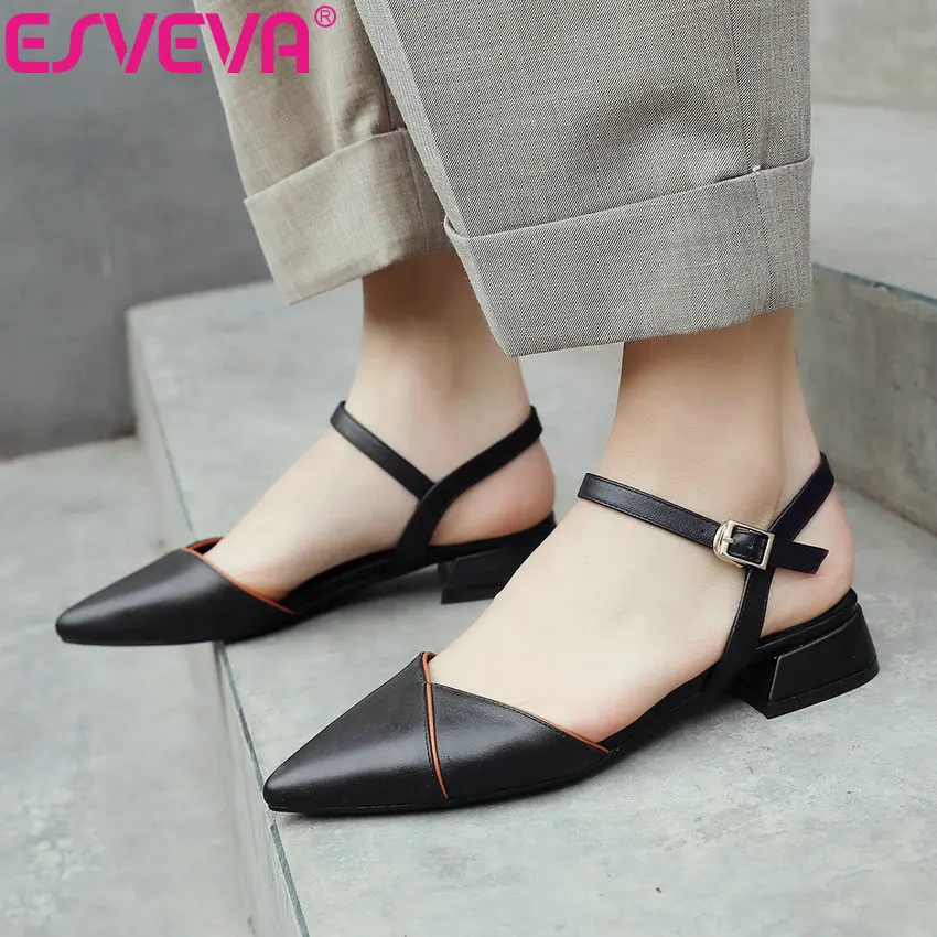 

ESVEVA 2019 Women Pumps Slingback Ankle Strap Shoes Square low Heels Sandals Spring Buckle Pointed Toe Women Shoes Size 34-39