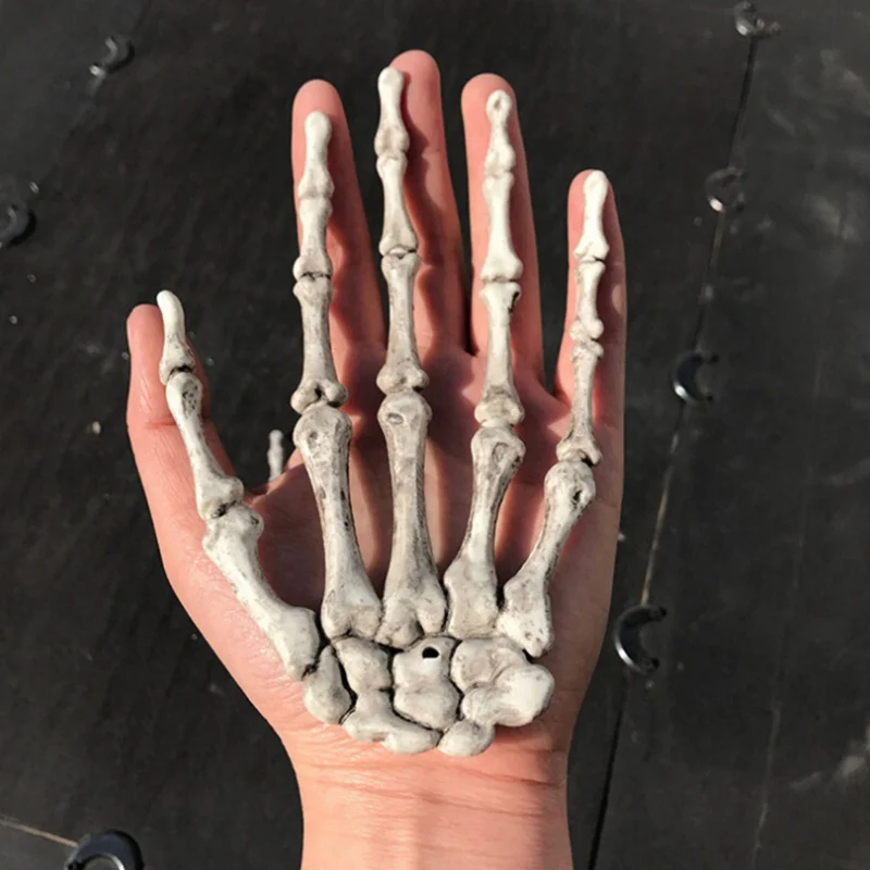 LISM 1 Pair Halloween Decoration Realistic Life Size Skeleton Hands Plastic Fake Human Hand Bone Zombie Party Terror Scary -Cosplayware Store HTB17r ba7H0gK0jSZPiq6yvapXaz.jpg