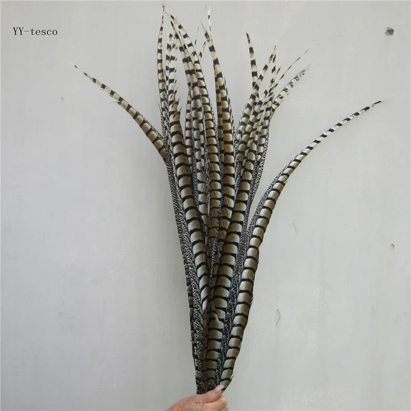 

100pcs 32-36inch/80-90cm natural Lady Amherst Pheasant Feather natural pheasant feathers for carnival party costumes decoration