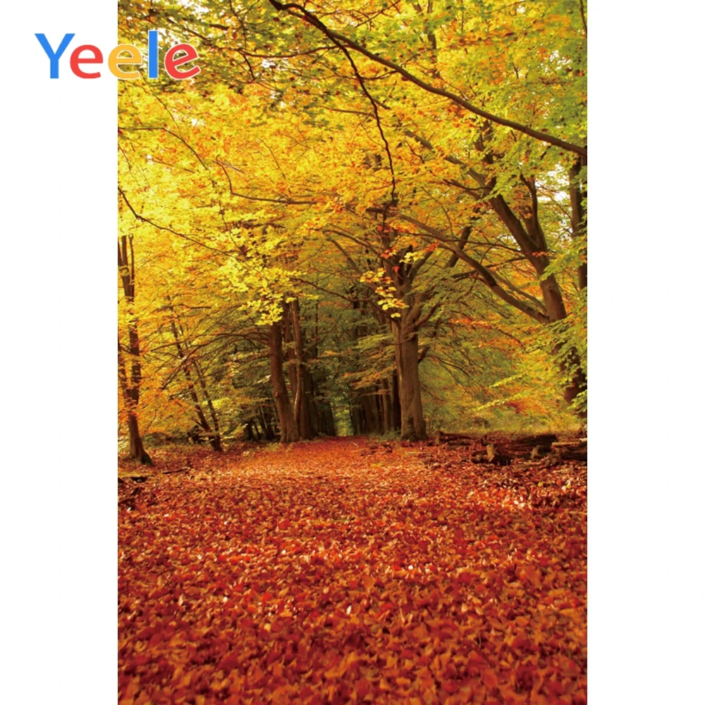 

Yeele Forests Landscapes Autumn Baby Child Portrait Photographic Background Seamless Vinyl Photography Backdrop For Photo Studio