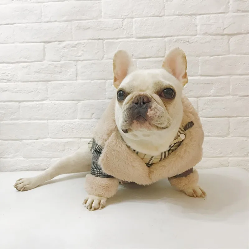 dog sweaters (2)