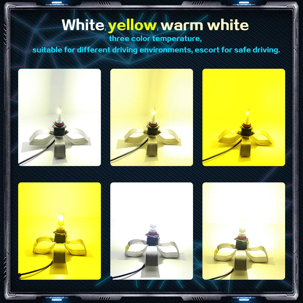 8687250072_319417087