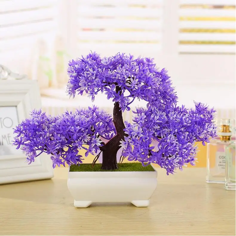 

10 pcs Welcoming Pine Bonsai, bonsai tree Seedling, indoor woody plants, pine tree perennial plant for miniature garden