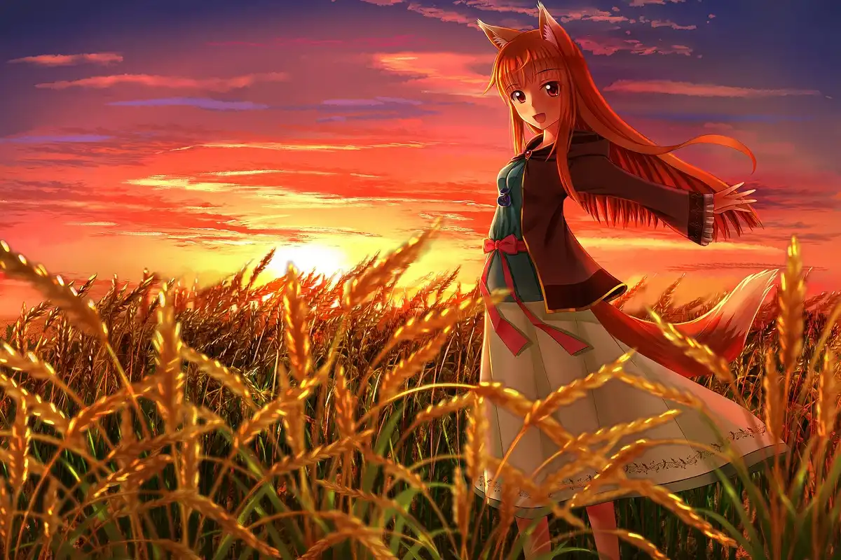 Holo Anime Character In Spice And Wolf Tmd035 Custom Print Fabric Poster Wall Decor Room Decoration Home Decor Frame Available Aliexpress