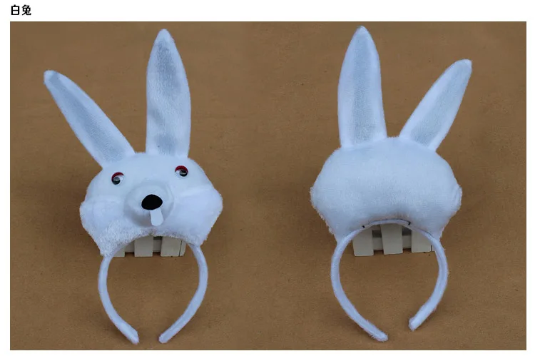 RABBIT2